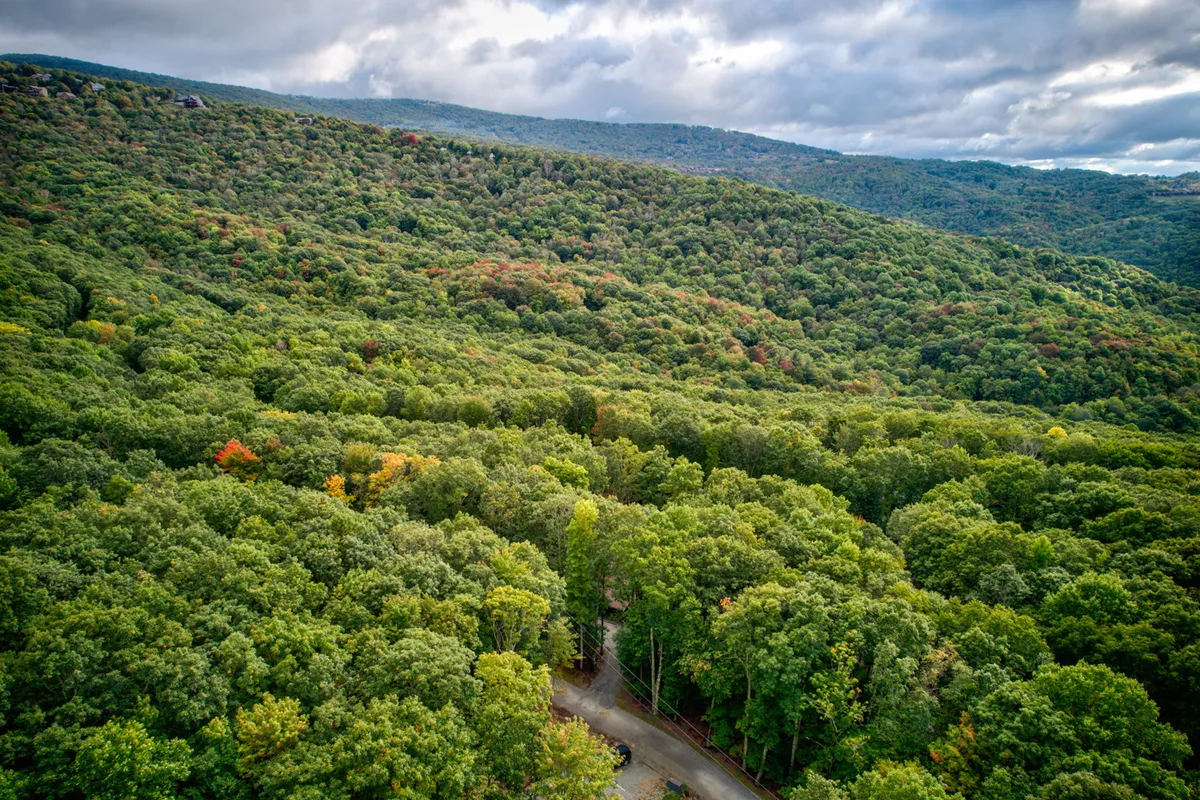 A sweeping vista of dense forest, a winding road, and distant mountains, with subtle hints of autumn color. The scenic view evokes a sense of exploration and adventure in the natural landscape.